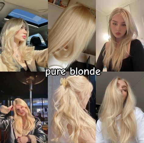 Improve Your Style, Light Blonde Hair, Dye Ideas, Blonde Hair Inspiration, Pretty Hair Color, Hair Stylies, Short Blonde, Hair Dye Colors, Hair Inspiration Color