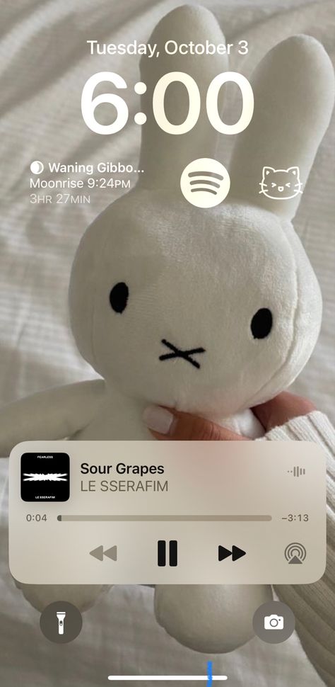 this is mine! please do not repost 💗 miffy cute kawaii miffy toy stuff plushie jellycat phone phone setup Miffy Popsocket, Miffy Airpod Case, Miffy Phone Case, Miffy Cute, Iphone Setup, Phone Setup, Sour Grapes, Ice Bears, Dark Soul