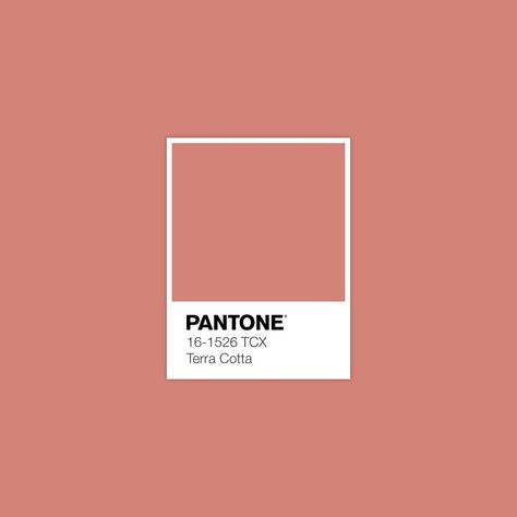 PANTONE 16-1526 TCX Terra Cotta • Download Free Adobe Illustrator Palette in .ase Format • Thank you! • #forecast #colorscheme #pantonecolors #trendforecasting #trendforecast #pantonecolor #fashionforecast #fashionforecaster #colortrends #colourschemes #patterncollection #colorpalettes #colorschemes #colourtrends #colourpallette #colortheory #colorwheel #colorinspiration #colourscheme #colorpalette #colourpalette #terracotta Pantone Terracotta Colour Palettes, Terra Cotta Aesthetic, Terracotta Pantone, Pastel Terracotta, Pantone Orange, Pantone Palette, Pantone Colour Palettes, Pantone Colors, Colour Board