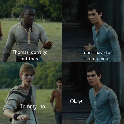 Maze Runner Newtmas Fan Art, Newtmas Memes, Newtmas Fanart, Young Newt, Runner Jokes, Maze Runer, Maze Runner Thomas, Maze Runner Trilogy, Maze Runner Funny