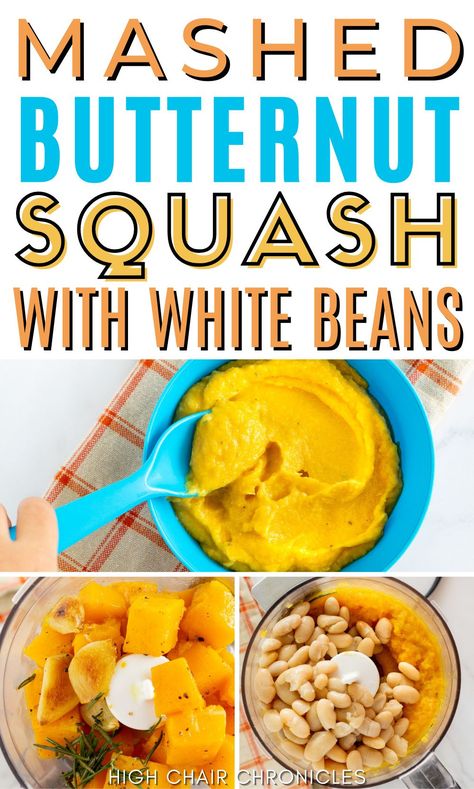 Learn how to make this baby food recipe from High Chair Chronicles! This homemade butternut squash and white bean baby food is so easy to make and healthy for your babies. It doesn't have any preservatives in it and is all-natural, so you don't have to worry about what your baby is eating! Try making this DIY baby food recipe for your little one today! Squash Baby Food Recipe, Beans For Babies, Butternut Squash Baby Food, Baby Food Allergies, Toddler Recipe, Mashed Butternut Squash, Weaning Foods, Diy Baby Food, Easy Baby Food Recipes