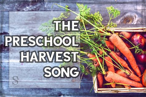 Engaging easy harvest song that your preschoolers and toddlers will love! Perfect for themes such as farm, harvest, Thanksgiving, vegetables, healthy eating. Sing in your classroom, daycare, or at home. You're children will ask you to sing it again. #harvest #farm #vegetables #preschoolsongs Harvest Unit For Preschool, Orchard Harvest Preschool Theme, Preschool Songs About Food, Farm Harvest Preschool, Harvest Songs For Toddlers, Harvest Songs Preschool, Harvest Theme Preschool Activities, Harvest Activities For Toddlers, Harvest Theme Preschool