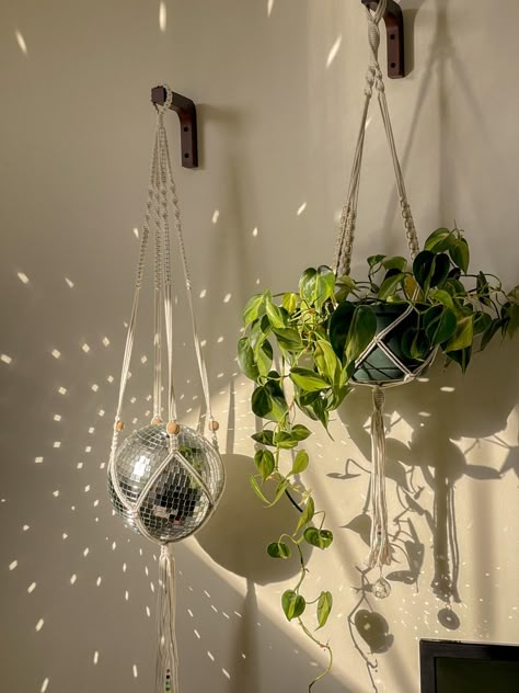 Plant Bedroom Aesthetic, Plants For Beginners, Boho Bathroom Ideas, Plants Aesthetic, Hanging Plants Indoor, Trailing Plants, Bedroom Plants, Disco Balls, Apartment Decor Inspiration