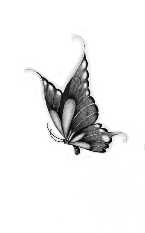 Butterfly Tattoo Side View, Mistletoe Tattoo, Tattoo Borboleta, Realistic Butterfly Tattoo, Fantasy Tattoo, Borboleta Tattoo, Butterfly Tattoo Stencil, Butterfly Art Drawing, Butterfly Black And White