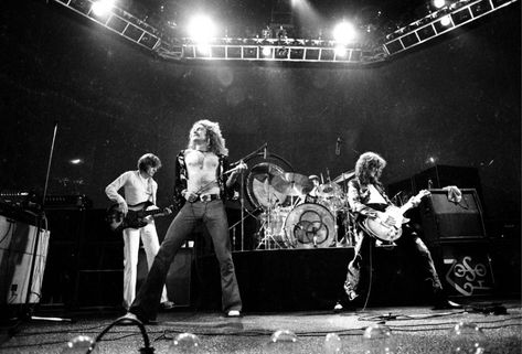 Twenty Arrested at Led Zeppelin Concert #1970s Led Zeppelin Concert, Led Zeppelin I, Led Zeppelin Songs, Led Zeppelin Live, Immigrant Song, Baby Lyrics, Bon Scott, Brian Johnson, Roger Daltrey