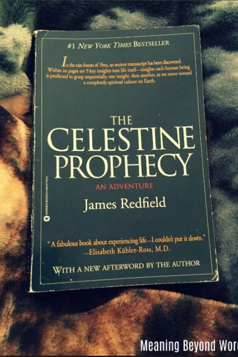 The Celestine Prophecy, Manifestation Books, Celestine Prophecy, Wellness Books, Tbr Books, Book Magic, Spiritual Books, Healing Books, Brand Owner