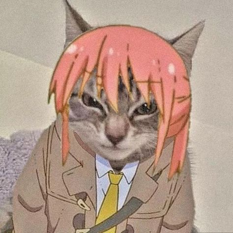 Tohru Pfp Kobayashi, Dragon Maid, Black Clover Manga, Kobayashi San, Miss Kobayashi's Dragon Maid, Fandom Memes, Anime Profile, Fantasy Character Design, Me Me Me Anime