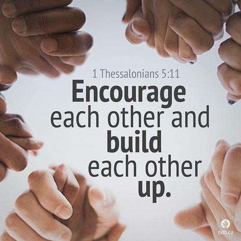 Encourage Each Other And Build Each Other Up 1 Thessalonians 5 11, Falling In Love Quotes, Ayat Alkitab, Christian Love, Devotional Quotes, Daily Bible Study, 1 Thessalonians, Up Quotes, Bible Encouragement