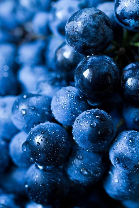 Pictures Of Fruits, Red Grape, Phone Background, Blueberries, Close Up, Grapes, Water, Red, Blue