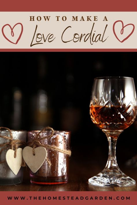 Learn how to make a Love Cordial. This herbal love cordial is a tasty treat, combining tinctures, maple syrup, and some depth from cinnamon to make a lovely beverage for a romantic evening. Cordial Recipe, Diy Herbal Remedies, Herbal Recipes, Herbal Healing, Romantic Evening, Mason Jar Wine Glass, Cordial, Natural Medicine, Herbal Remedies