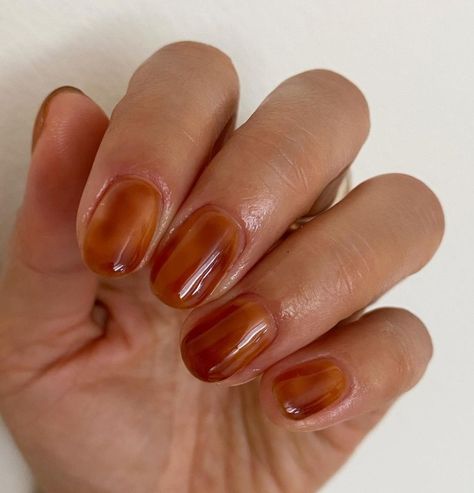 Natural Nails Designs Fall, Short Amber Nails, Transparent Brown Nails, Brown Biab Nails, Jelly Brown Nails, Amber Nails Design, Brown Jelly Nails, Honey Nails, Amber Nail