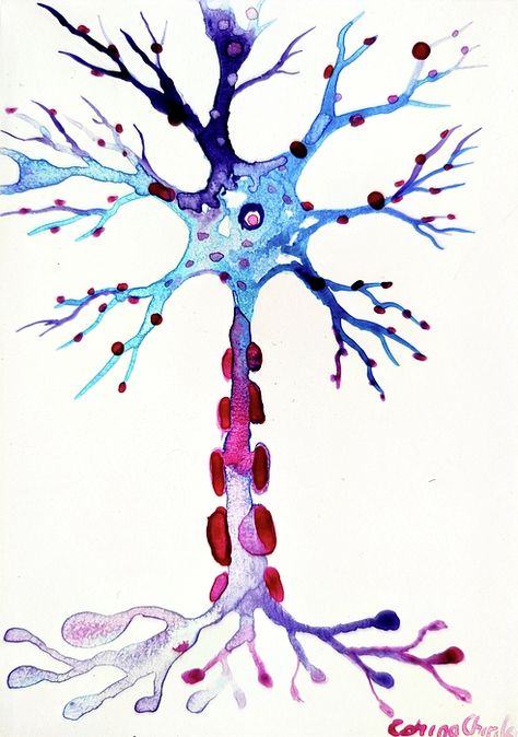 Nervous System Painting, Neuroplasticity Art, Neurotransmitters Art, Synapse Neurons Art, Neuroscience Wallpaper, Neurons Art, Neuron Art, Biology Painting, Neuro Anatomy