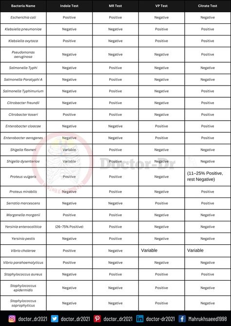 IMViC test result chart of some common bacteria - IMViC Test: Indole, Methyl Red, Voges-Proskauer, & Citrate Tests - Comprehensive Guide for Bacterial Identification - By Microbiologist Doctor_dr2021 Microbiology Bacteria Notes, How To Pass Microbiology, Urine Microscopic Examination, Microbiology Lab, Biochemical Tests Microbiology, Microbiology, Medical, Science