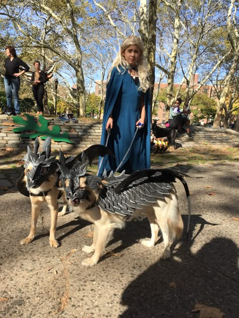 German Shepherd Costume Ideas, Cerberus Dog Costume, Scary Dog Costumes, Hobbit Dog Costume, Viking Dog Costume, Dog Dragon Costume, Medieval Dog Costume, Dragon Costume For Dogs, Dog Armor