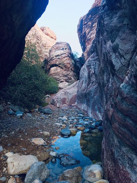 [OC]Calico Basin Redrock canyon Las Vegas NV 3024x4032 #Music #IndieArtist #Chicago Photography Kit, Earth Nature, National Photography, Photography Nature, Landscape Photographers, Nature Wallpaper, Mother Earth, Amazon Affiliate, Grand Canyon