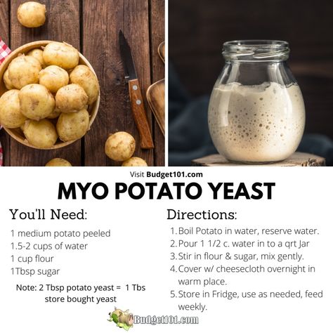 Yeast Bread Starter, Potato Yeast Rolls, Potato Yeast, Homemade Yeast, Meal Ready To Eat, Yeast Starter, Dough Starter, Yeast Recipes, How To Make Potatoes