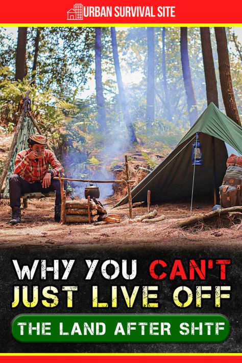 Live Off The Land, Emergency Prepardness, Cabin In The Mountains, Just Live, Survival Shelter, Urban Survival, Prepper Survival, Living Off The Land, Homestead Survival