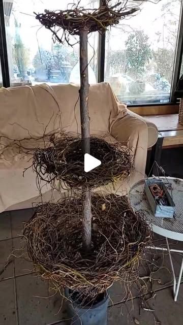 Esther Geneser - Landscape Designer / Boligstylist on Instagram: "Easter Decoration - Part 3
.
.
.
.
.
.
.
.
#esthershave #diy#easterdecor #påske #pascoa #recicle" Easter Garden Decorations, Easter Ideas Decoration, Easter Tree Ideas, Easter Spring Decorations, Oster Dekor, Decoration Vitrine, Easter Garden, Spring Decorations, Landscape Designer