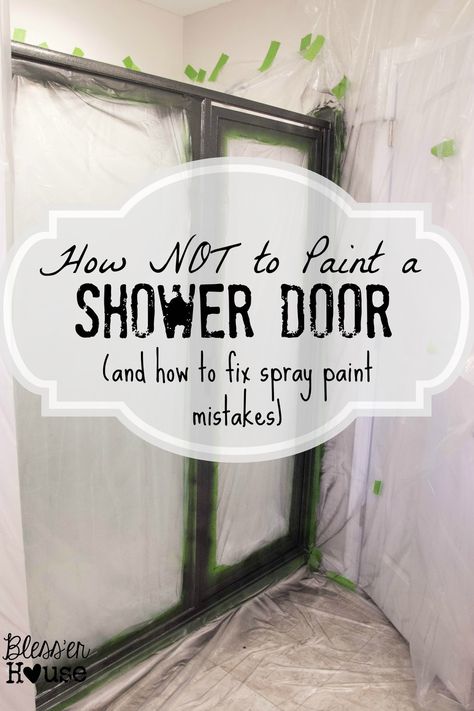 Winter 2015 Project Recap Paint Mistakes, Fix Spray, Painting Shower, Shower Fixtures, Bathroom Redo, Glass Shower Doors, Shower Door, Painting Bathroom, Glass Shower