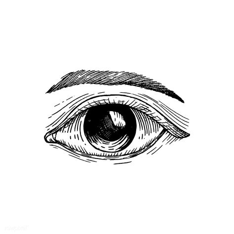 Hand drawn human eye | premium image by rawpixel.com Eye Tattoos, Realistic Eye Drawing, Eye Drawings, Eye Illustration, Eye Sketch, Drawing Eye, Hand Images, Realistic Eye, Eye Eye