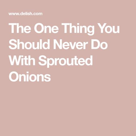 The One Thing You Should Never Do With Sprouted Onions Sprouted Onions, Onion Sprouts, Planting Onions, Green Bean Casserole, Bean Casserole, Root Vegetables, Natural Sugar, Food Source, Planting Herbs