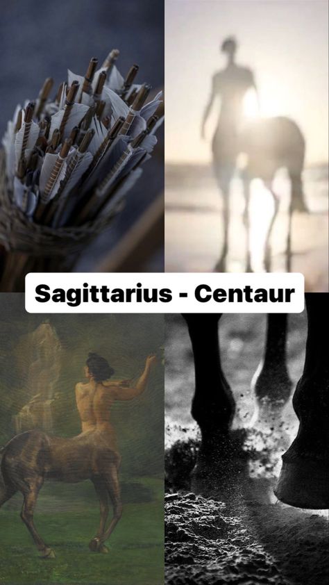 Sagittarius Mythical Creature, Signs As Mythical Creatures, Sagittarius Vibes, Zodiac Signs In Order, Zodiac Sagittarius Facts, Zodiac Characters, Different Zodiac Signs, Signs Funny, Astrology Art