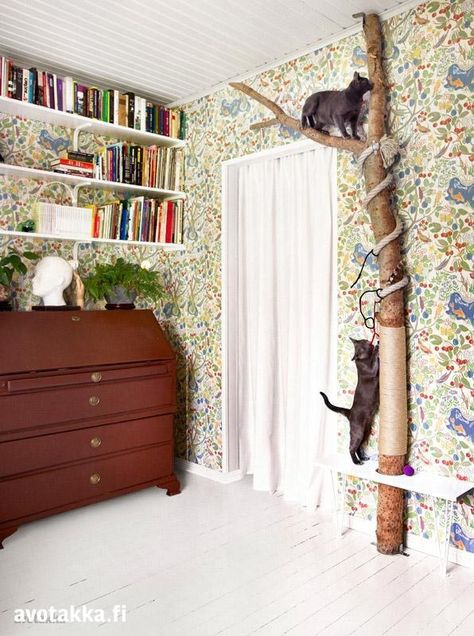 Use a real tree as a stylish cat scratching and climbing post. | 27 Brilliant Hacks Every Cat Owner Needs To Know Diy Jouet Pour Chat, Katt Diy, Katt Grejer, Kat Diy, Chat Diy, Koti Diy, Cat Climbing Tree, Diy Cat Tree, Cat House Diy