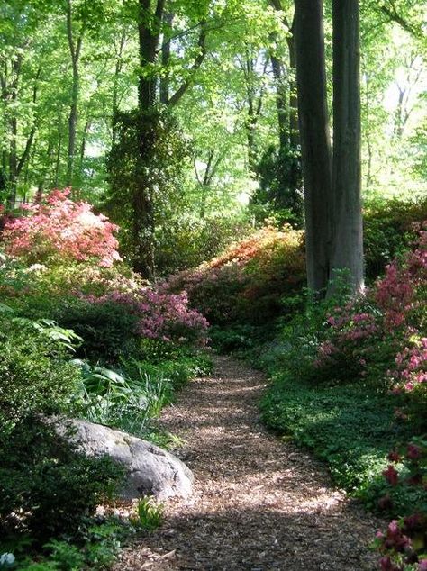 Petite allée de sous bois fleurie Walkways Paths, Path Design, Garden Walkway, Forest Garden, Woodland Garden, Garden Pathway, Natural Garden, Green Gables, Garden Cottage