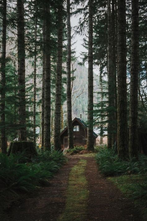 Take me away. Untitled // Russell Penny: 카드 디자인, Little Cabin, Small Cabin, Cabins And Cottages, Cabin Life, Forest House, Into The Woods, Cabin Homes, Cabins In The Woods