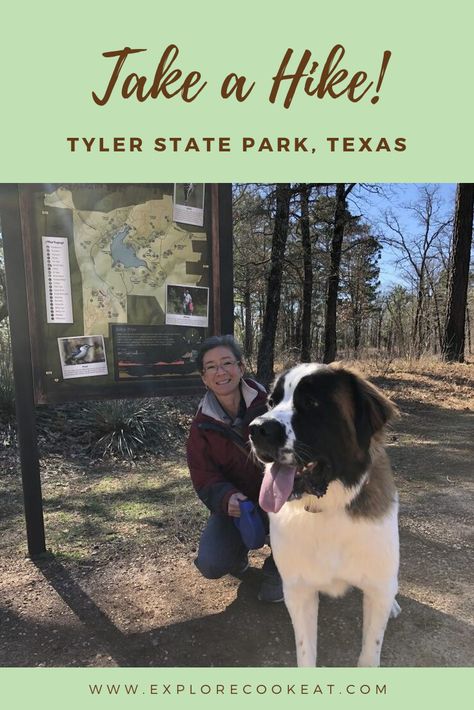 Tyler State Park, in North Texas, is a gem of park!  Great trails for hiking, as well as options for mountain biking, swimming, picnicking, camping, boating, or just enjoying nature! #tylerstatepark #texasstatepark #texashiking Hikes In Texas, Tyler State Park Texas, Dinosaur Park Texas, Best Rv Parks In Texas, Guadalupe River State Park Texas, Texas State Parks, Enjoying Nature, Long Weekend Getaways, Tyler Texas