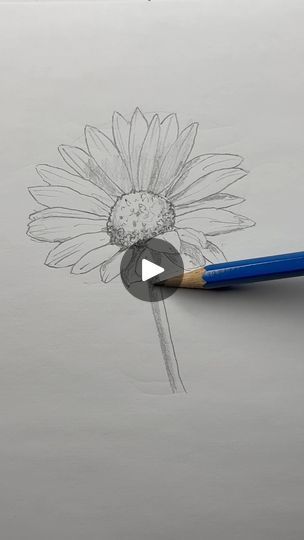 2M views · 63K reactions | Draw a flower 🌸 Easy drawing lesson for beginners on how to draw a flower. #drawinglesson #howtodraw | Mark Liam Smith | Mark Liam Smith · Original audio Draw A Flower Easy, Draw A Flower, Easy Flowers, Drawing Lesson, Drawing Flowers, Flower Paintings, Painting Flowers, Art How, Easy Drawing