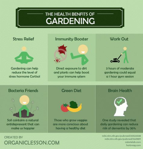 Wonderful health benefits of Gardening [Infographic] | ecogreenlove Gardening Infographic, Green Diet, Body Stretching, Raking Leaves, Digging Holes, Benefits Of Gardening, Turmeric Tea, Senior Health, Building Muscle