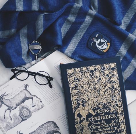 Ravenclaw Common Room, Ravenclaw Pride, Harry Potter Wall, Ravenclaw Aesthetic, Harry Potter Background, Ravenclaw House, Buku Harry Potter, Pride Prejudice, Harry Potter Images