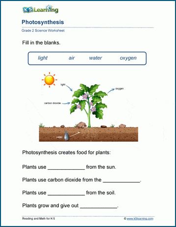 Plants worksheets for grade 2. Focus on what plants need to grow, how they develop and especially on the mechanisms by which they pollinate and disperse seeds. Free | Printable | Grade 2 | Science | Worksheets Grade 2 Science Worksheets, Photosynthesis Worksheet, Grade 2 Science, Plants Worksheets, Biology Worksheet, Seed Dispersal, 2nd Grade Worksheets, Plant Life Cycle, Science Articles