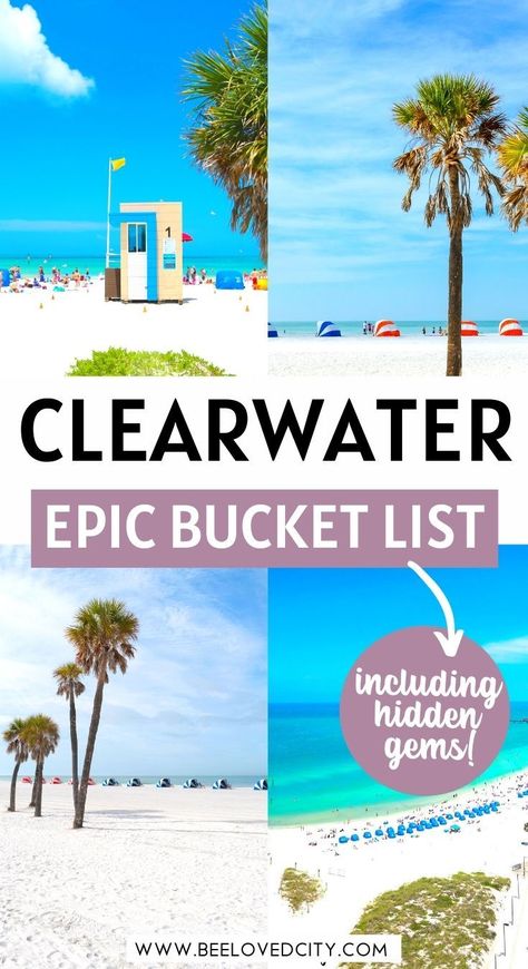 Sand Key Beach Florida, Things To Do In Clearwater Florida, Clearwater Beach Florida Restaurants, Tampa Florida Things To Do In, Clear Water Beach Florida, Bee Vision, Clear Water Florida, Vacations Pictures, Best Florida Beaches