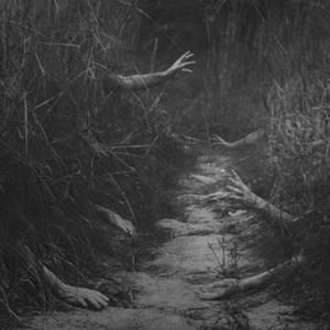 Creepy Photos, Creepy Images, Southern Gothic, Dark Photography, The Dark Side, The Grass, Pics Art, Creepers, Dracula