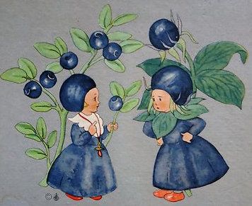 blueberry girls Blueberry Girl, 동화 삽화, Elves And Fairies, Free Woodworking Plans, Vintage Fairies, Flower Fairies, Vintage Children's Books, Art And Illustration, Fairy Art