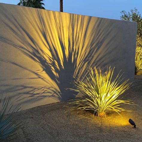 Front Yard Make Over | Front Yards Kolam Koi, Design Backyard, Landscape Lighting Design, Outdoor Theater, Front Yards, Yard Lights, Outdoor Gardens Design, Modern Landscaping, Curtain Bangs