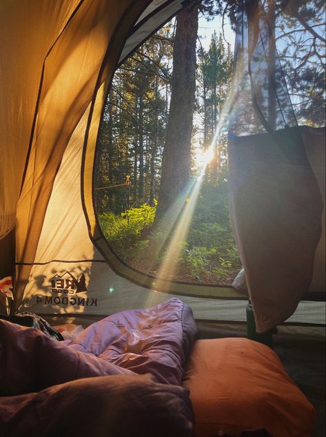 Cozy Tent Aesthetic, Tent Aesthetic, Outdoors Aesthetic, Cozy Camping, Camping In The Woods, Aesthetic Reading, Spring Camping, Out On A Limb, Camping Vibes