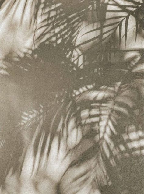 Mood Images, Instagram Feed Inspiration, Water Element, On Holiday, The Shadow, Beach Aesthetic, Beach Vibe, Travel Prints, Palm Leaves