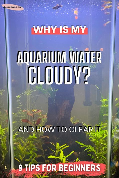 How To Keep Fish Tank Water Clear, Clear Fish Tank, How To Clean A Fish Tank, Fish Tank Cleaning Hacks, Fish Tank Hacks, Fresh Water Fish Tank Ideas, Glofish Tank Ideas, Aquarium Hacks, Fish Tank Themes Ideas