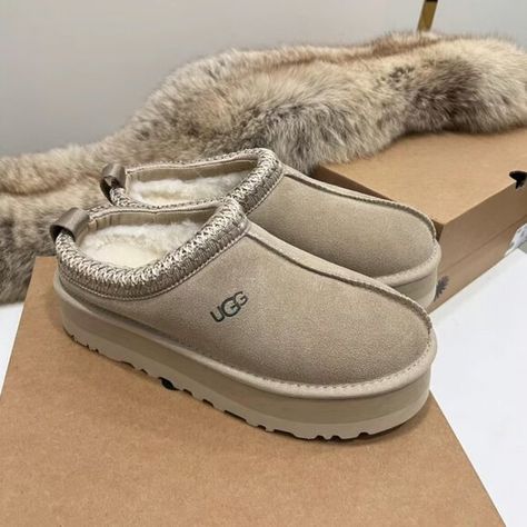 Ugg Tazz Tasman Platform Slippers Beautiful Mustard Seed Ugg Tazz Slippers, Tazz Slippers, Ugg Tazz, Seed Shop, Platform Slippers, Mustard Seed, Womens Uggs, Ugg Shoes, Mustard