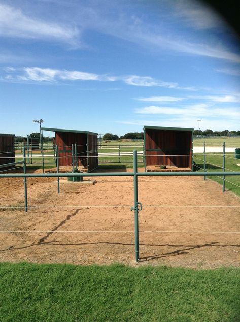 Horse Training Facility Layout, Small Horse Paddock, Horse Training Facility, Horse Boarding Facility Ideas, Horse Pasture Shelter, Horse Pasture Ideas, Stable Plans, Pasture Shelter, Horse Turnout