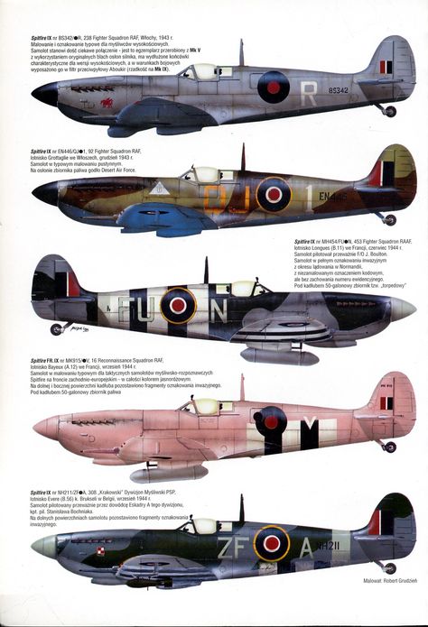 Supermarine Spitfire Mk IX ,RAF  variants, 1943/44 Ww2 Spitfire, Spitfire Airplane, Spitfire Model, Spitfire Plane, Wwii Fighter Planes, Aviation Posters, Reconnaissance Aircraft, Wwii Fighters, Wwii Plane