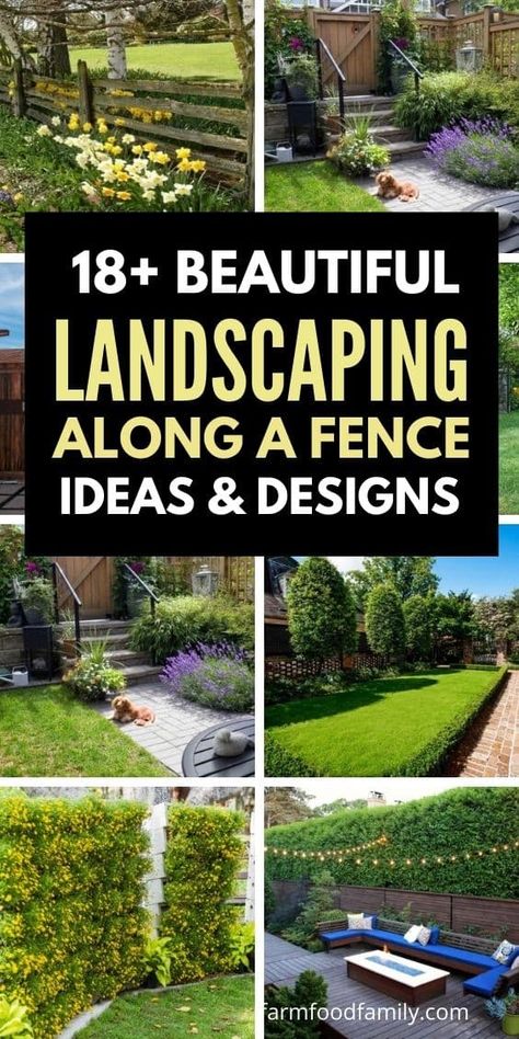 20+ Beautiful Landscaping Along A Fence Ideas & Designs Fenced In Yard Landscaping Ideas, Corner Of Fence Landscaping, Plants For Gate Entrance, Along The Fence Landscaping Backyards, Backyard Flowerbed Along Fence, Trees Lining Fence Backyards, Backyard Landscaping Along Fence Line, Landscape Next To Fence, Flowerbeds Along Fence