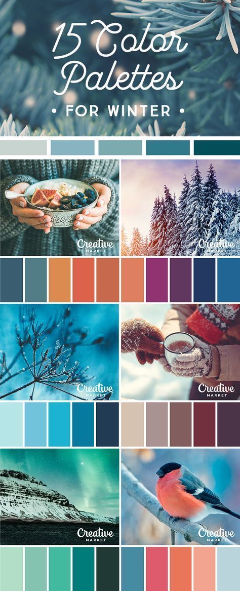 Winter Picture Color Scheme, Winter Family Pictures Color Schemes, Winter Color Palette Clothes, Pallette Ideas, Winter Colour Palette, Harmony Design, Christmas Color Palette, Spa Ideas, Winter Color Palette