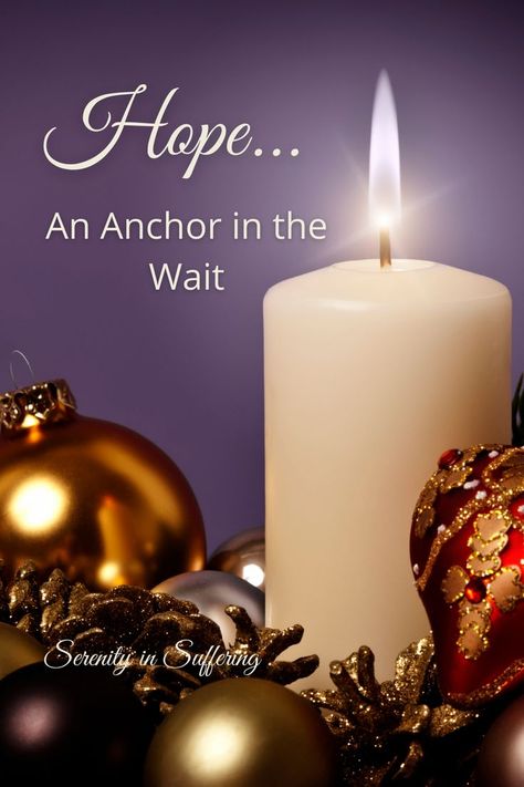 Are you waiting for answer to prayer, help in a trial or encouragement this holiday season? Find the true HOPE you need right now. #serenityinsuffering #serenity #hope #hopeful #hopefulness #advent #adventhope #adventinspiration Advent Peace Quotes, First Sunday Of Advent Hope, Advent Hope Quotes, Hope Advent, Advent Hope, Fill My Cup Lord, Advent Prayers, Advent Readings, Hope Scripture