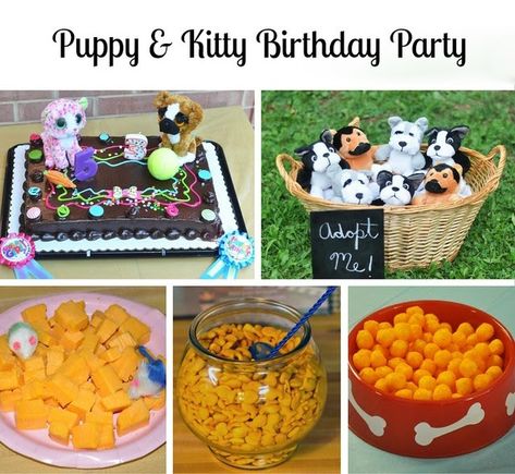 Humane Society Birthday Party, Cat Themed Birthday Party Food, Kitty Birthday Party, Dog Themed Birthday Party, Kitten Party, Simple Birthday Party, Birthday Party Snacks, Puppy Birthday Parties, Motherhood Lifestyle