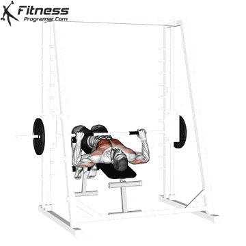 Bench Press Smith Machine, Smith Machine Bench Press, Smith Machine Chest Workout, Bench Press Muscles Worked, Decline Bench Press, Shoulder Workout Routine, Free Workout Plans, Push Workout, Bench Workout