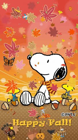 Snoopy Holidays, Charlie Brown Wallpaper, Peanuts Wallpaper, Charlie Brown Quotes, Peanuts Charlie Brown Snoopy, Snoopy Cartoon, Snoopy Funny, Snoopy Halloween, Snoopy Images